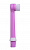 Насадки для электрической зубной щетки CS Medica KIDS CS-461-G, 2 шт, розовые Насадки для электрической зубной щетки CS Medica KIDS CS-461-G, 2 шт, розовые